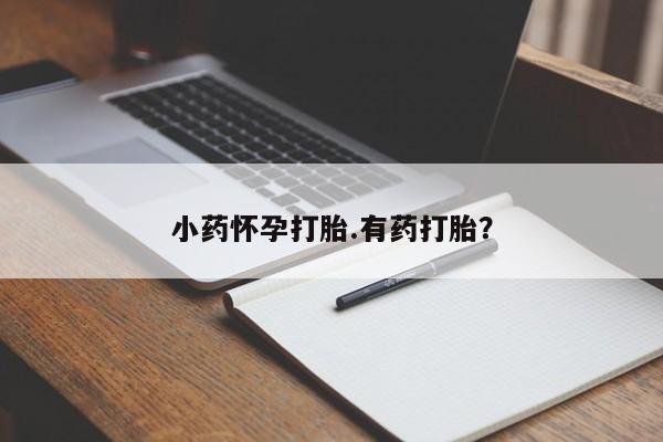 网上哪里买打胎药小药怀孕打胎.有药打胎？