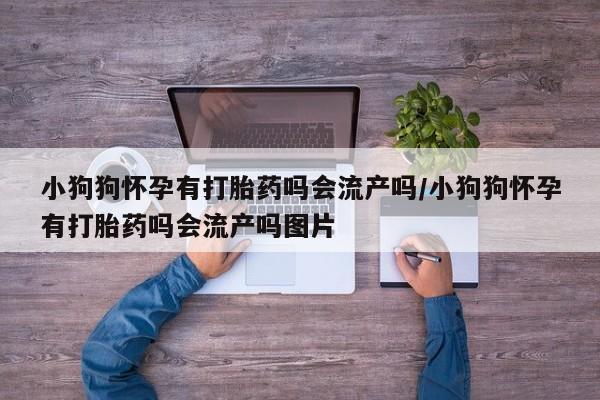 网上哪里买打胎药小狗狗怀孕有打胎药吗会流产吗/小狗狗怀孕有打胎药吗会流产吗图片