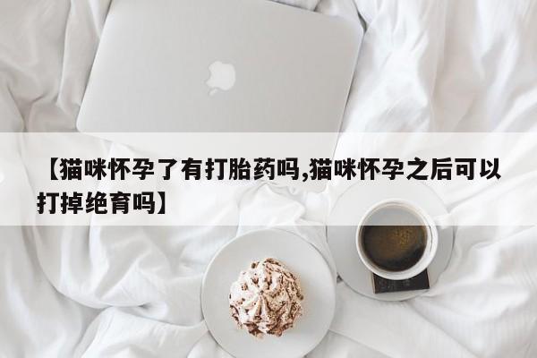 网上哪里买打胎药【猫咪怀孕了有打胎药吗,猫咪怀孕之后可以打掉绝育吗】