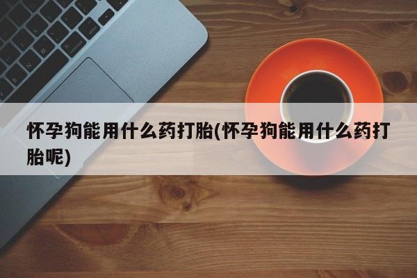 网上哪里买打胎药怀孕狗能用什么药打胎(怀孕狗能用什么药打胎呢)