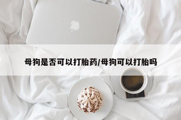 网上哪里买打胎药母狗是否可以打胎药/母狗可以打胎吗